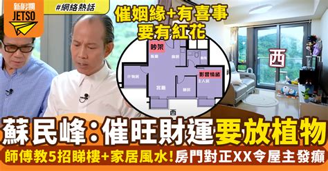 門口地毯顏色2022蘇民峰|家居風水佈局2022｜蘇民峰病位化解方法、文 